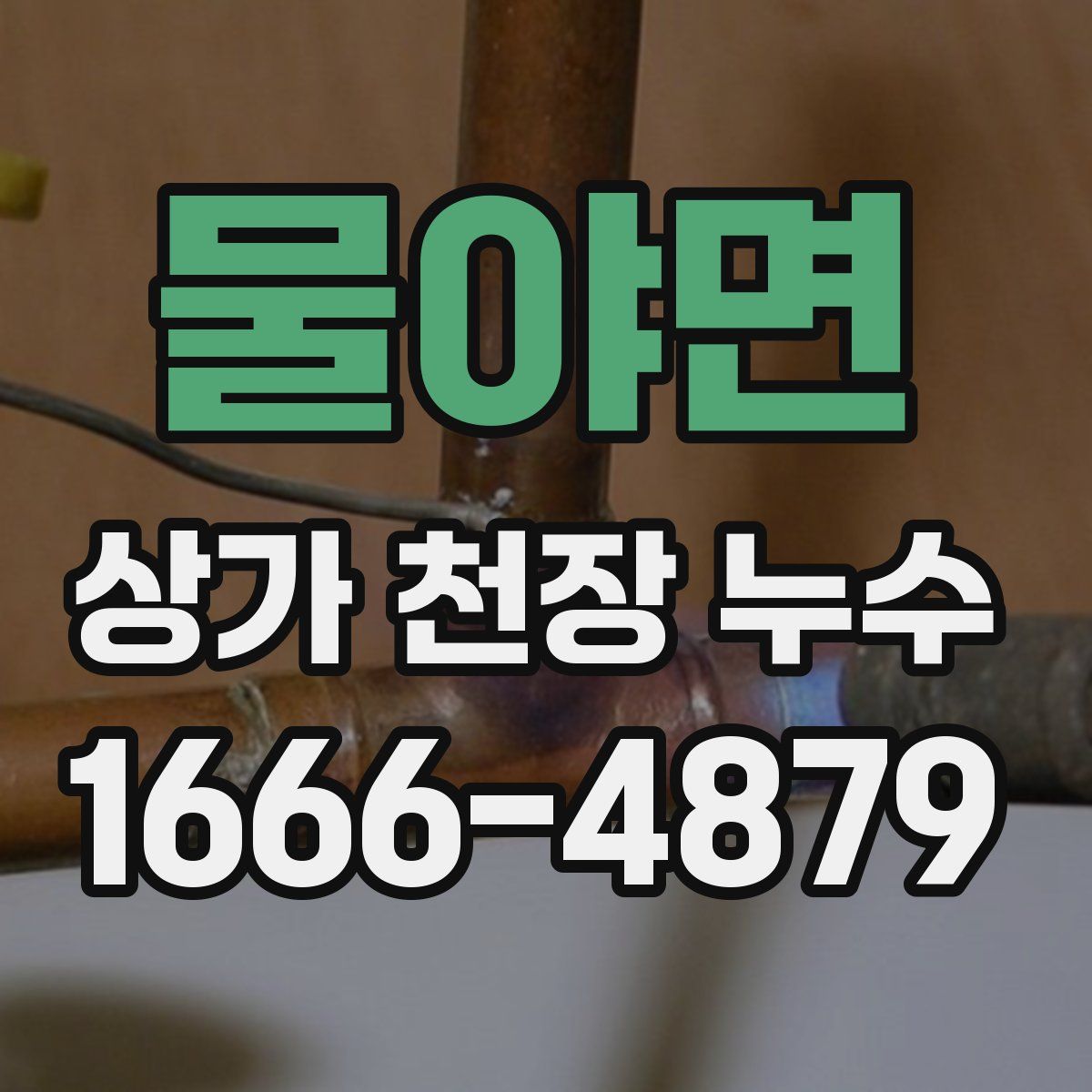 물야면 상가 천장 누수