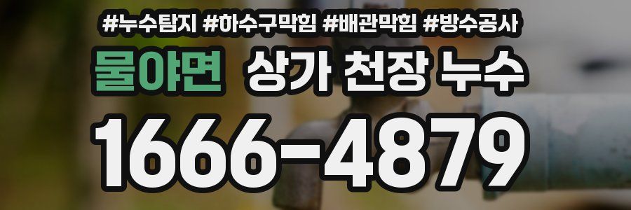 물야면 상가 천장 누수