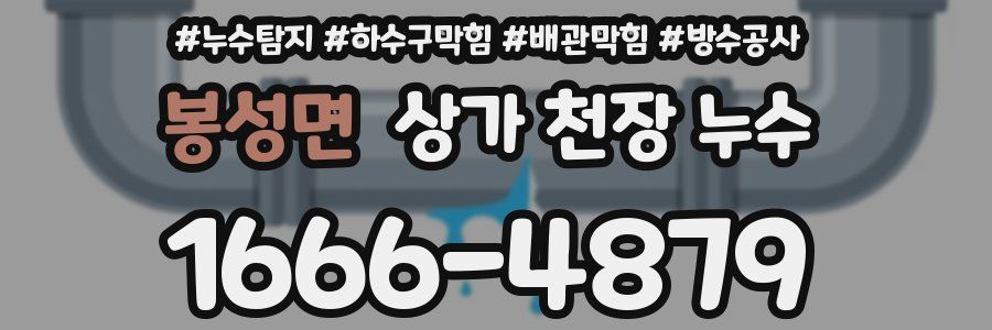 봉성면 상가 천장 누수