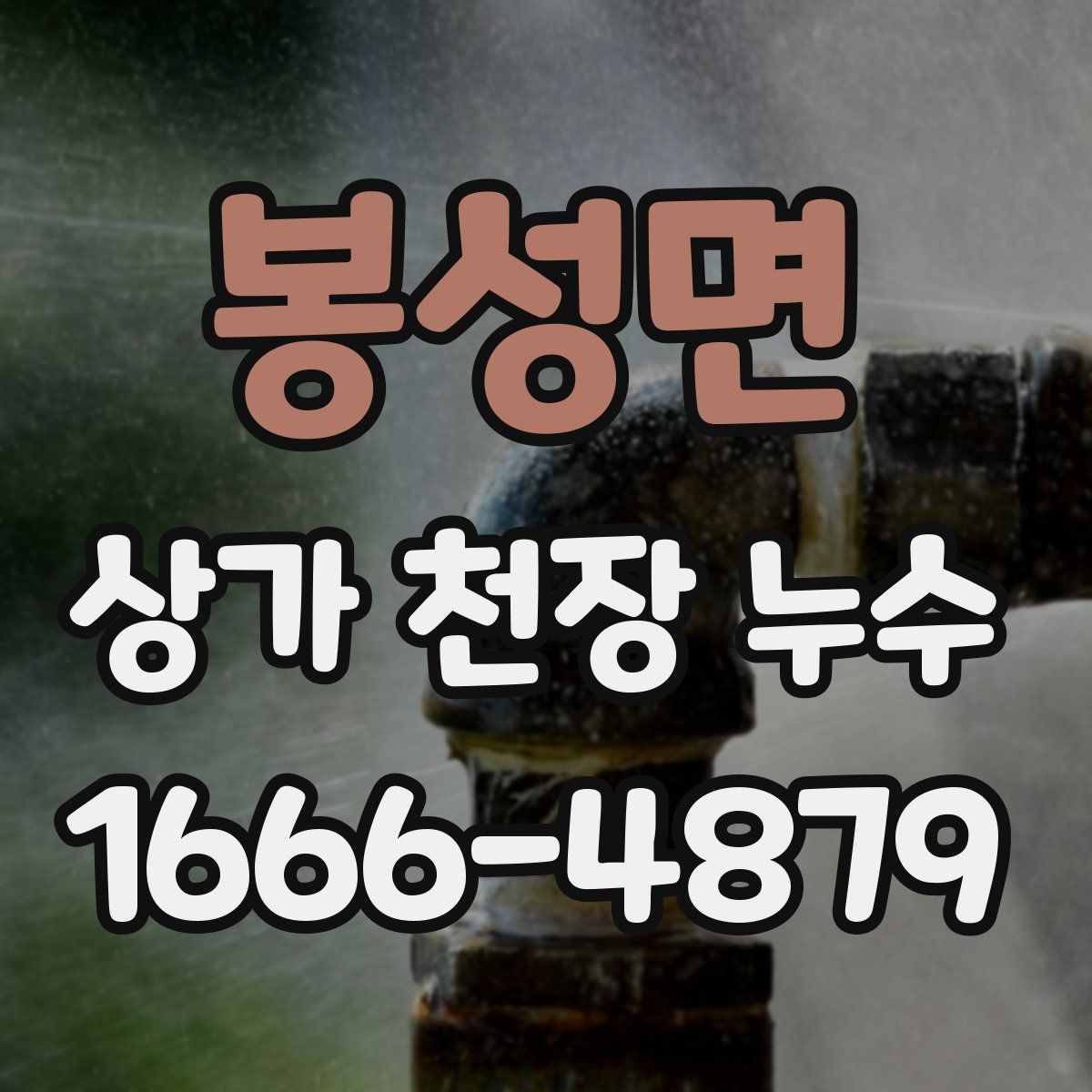 봉성면 상가 천장 누수