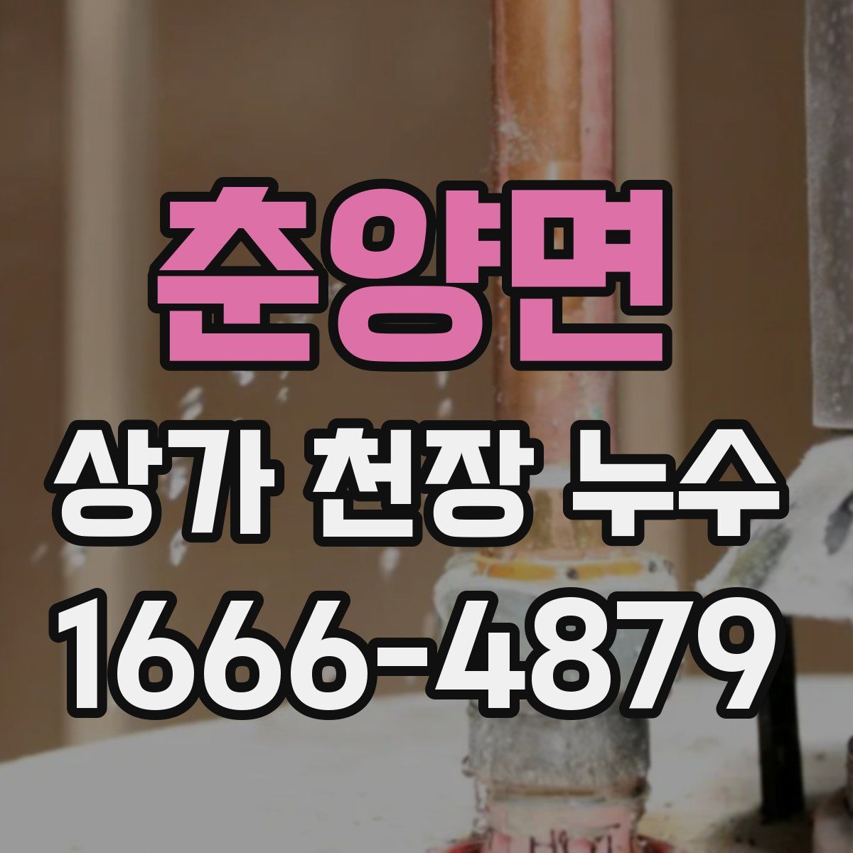 춘양면 상가 천장 누수