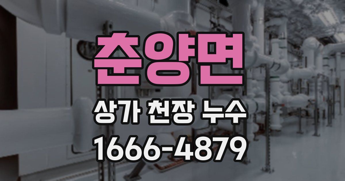 춘양면 상가 천장 누수