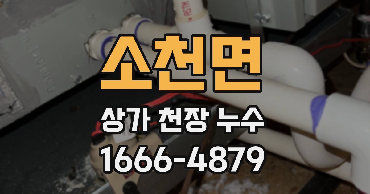 소천면 상가 천장 누수