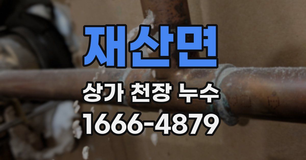 재산면 상가 천장 누수