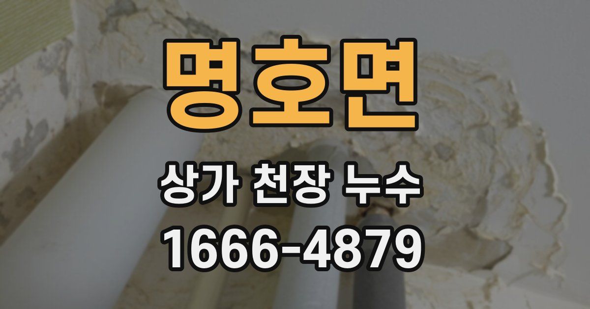 명호면 상가 천장 누수
