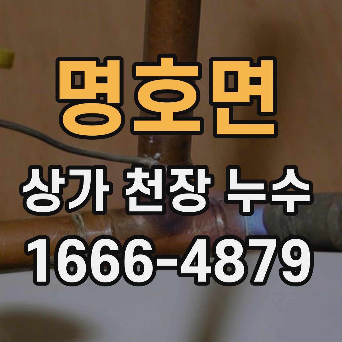 명호면 상가 천장 누수
