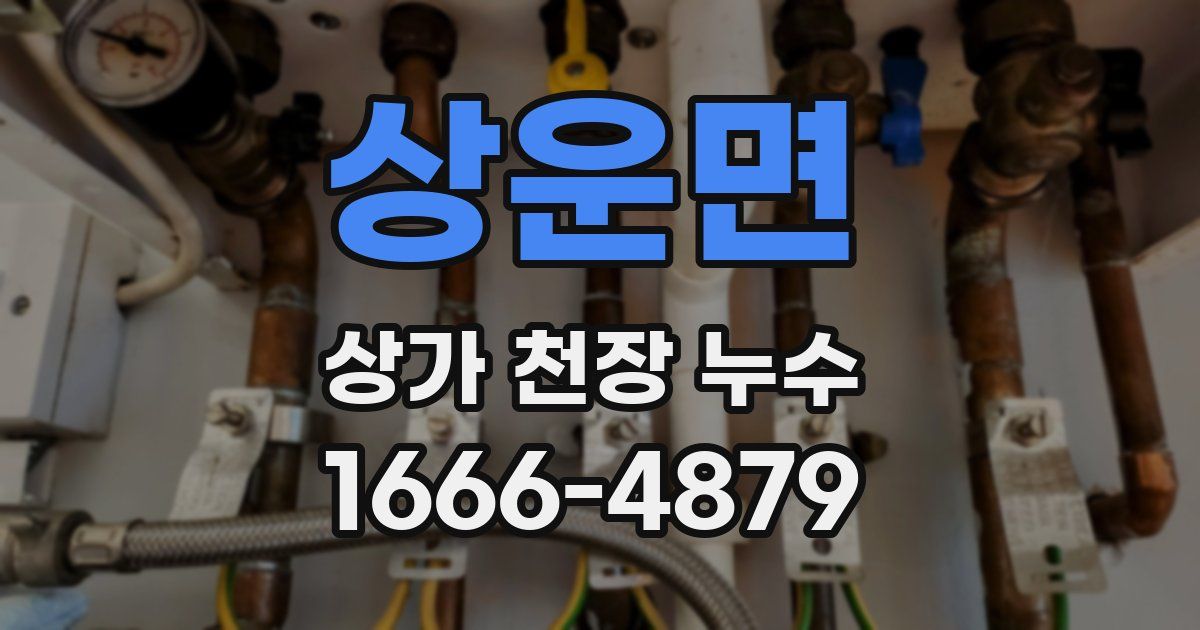 상운면 상가 천장 누수