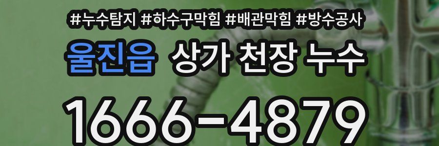 울진읍 상가 천장 누수