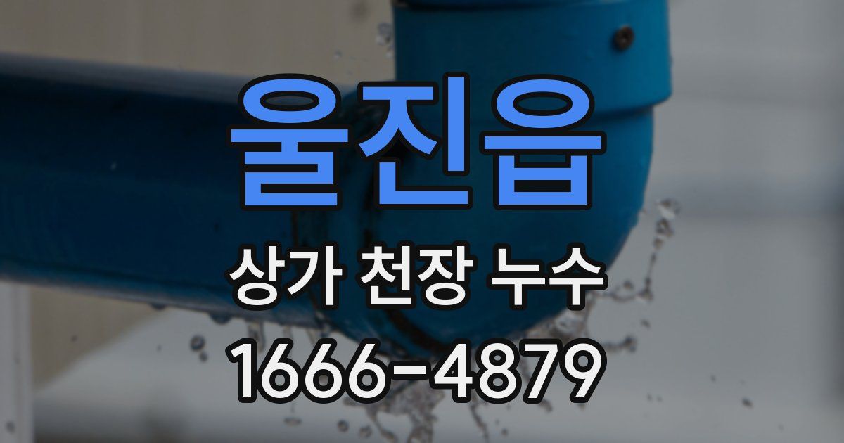 울진읍 상가 천장 누수