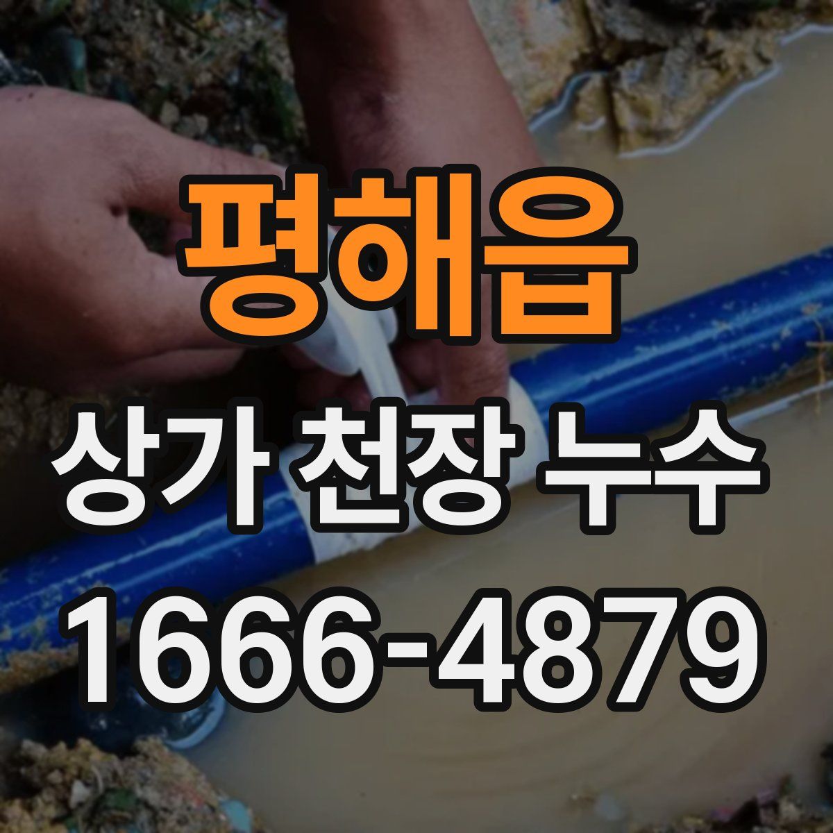 평해읍 상가 천장 누수