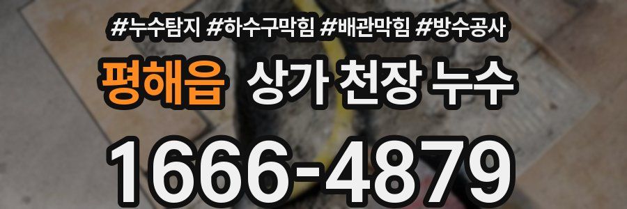평해읍 상가 천장 누수