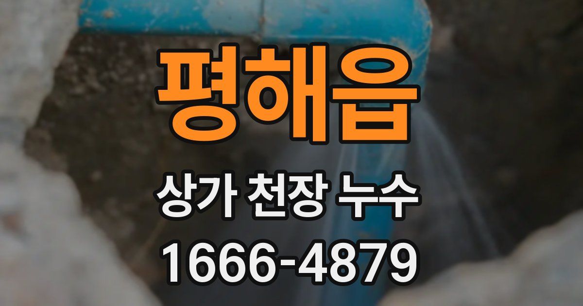 평해읍 상가 천장 누수