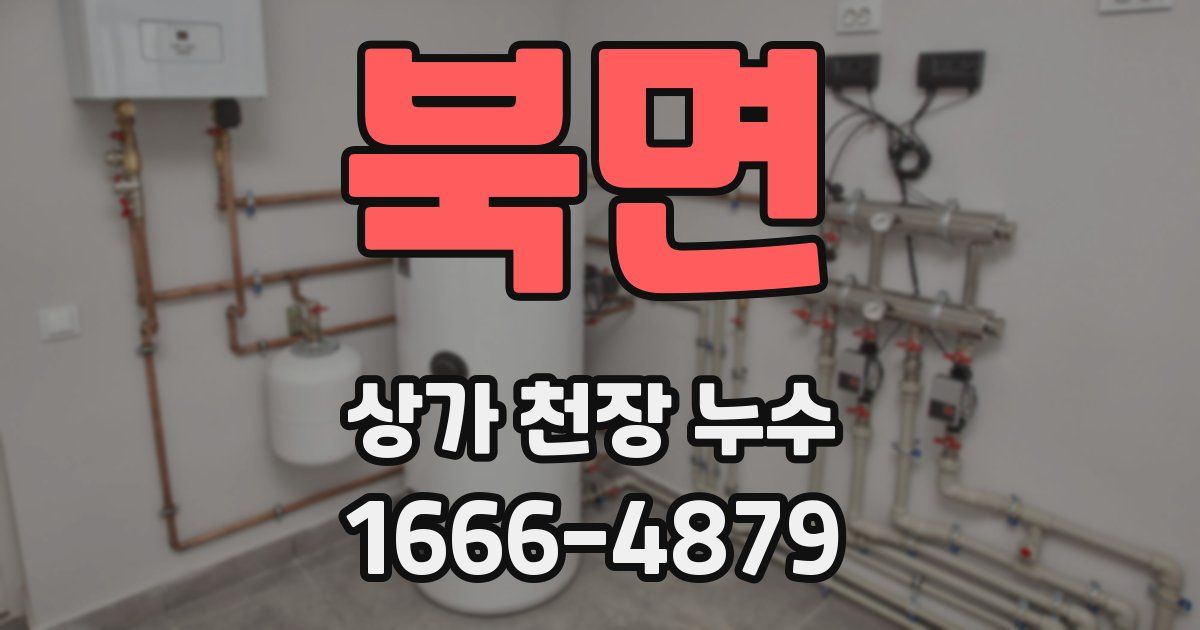 북면 상가 천장 누수