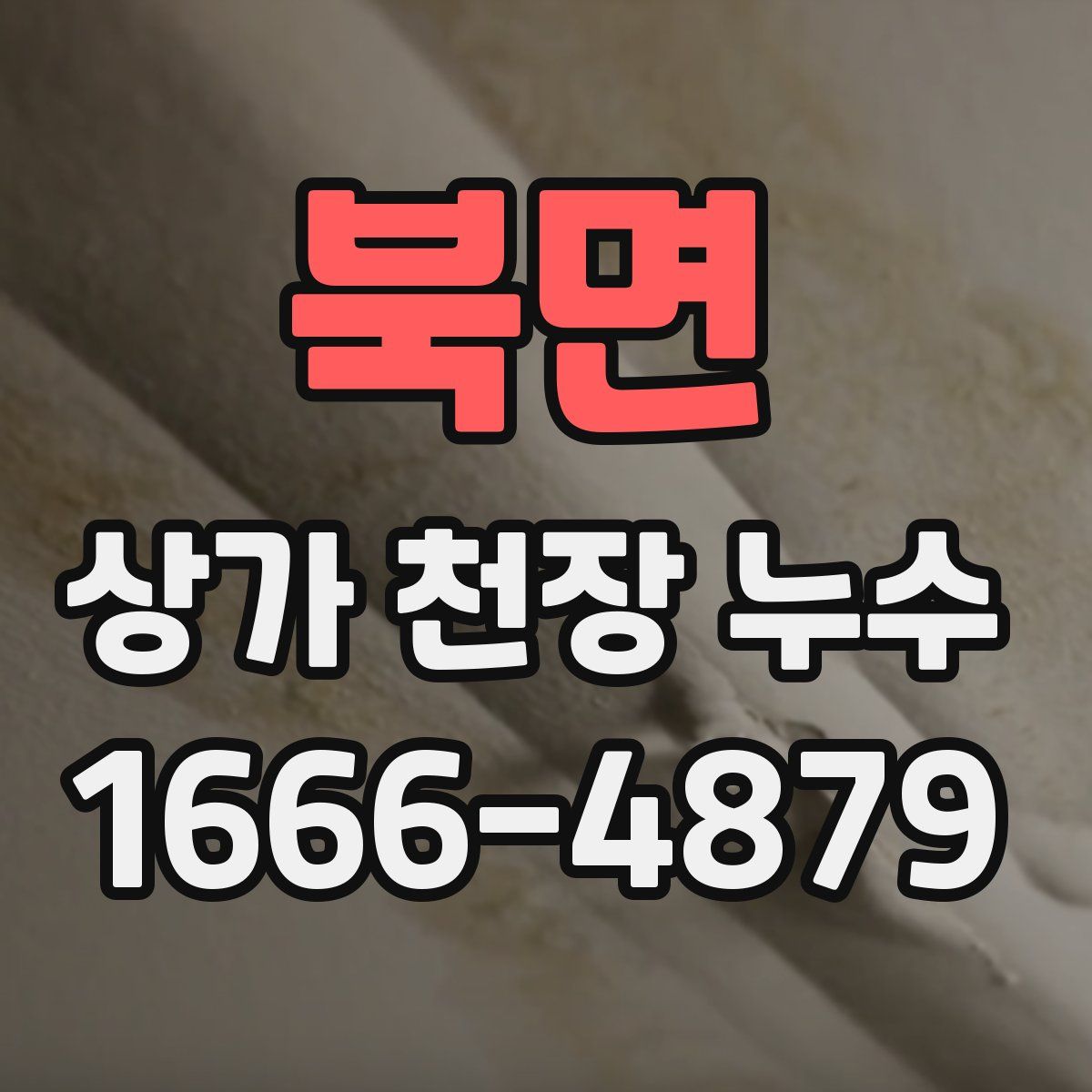 북면 상가 천장 누수
