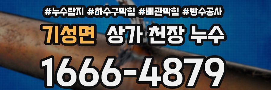 기성면 상가 천장 누수