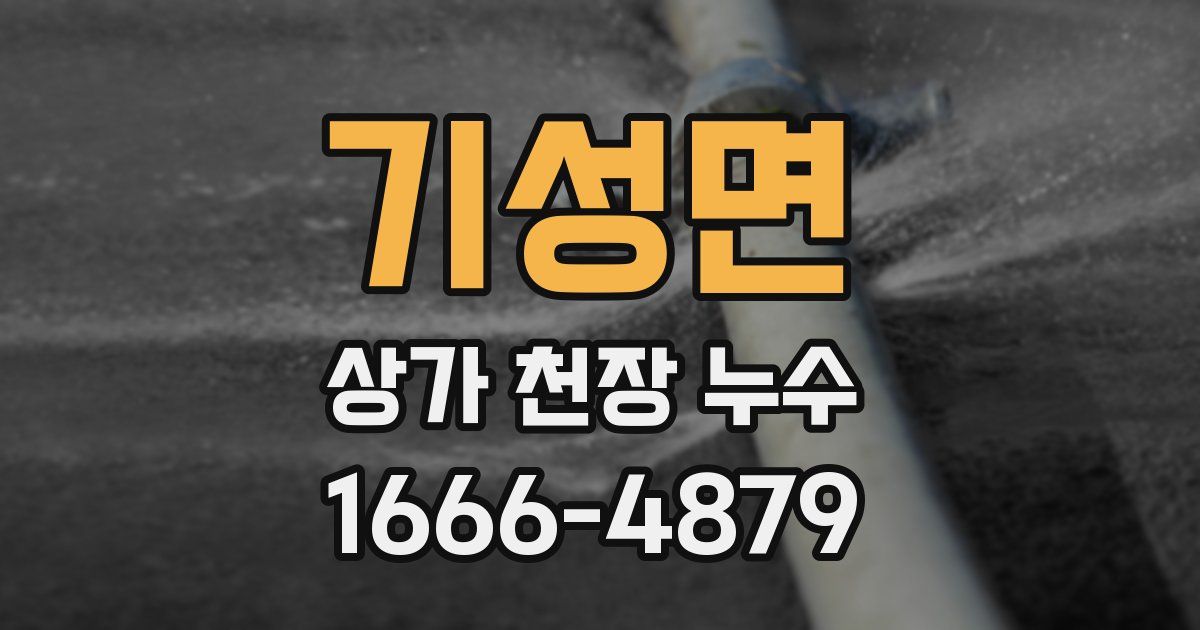 기성면 상가 천장 누수