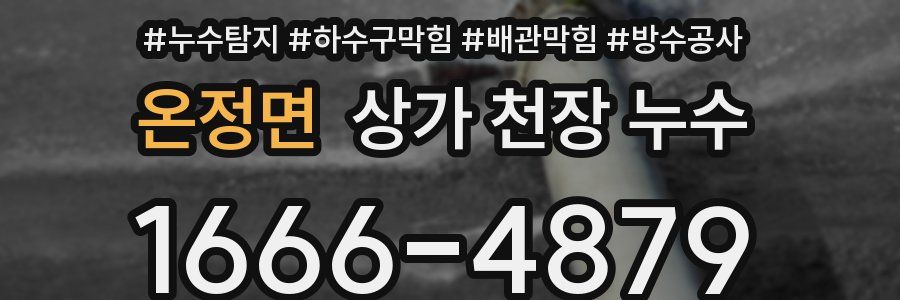 온정면 상가 천장 누수