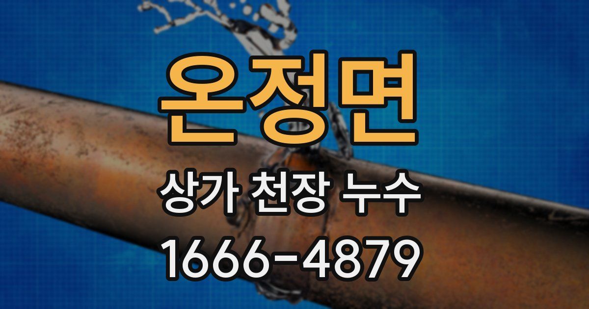 온정면 상가 천장 누수
