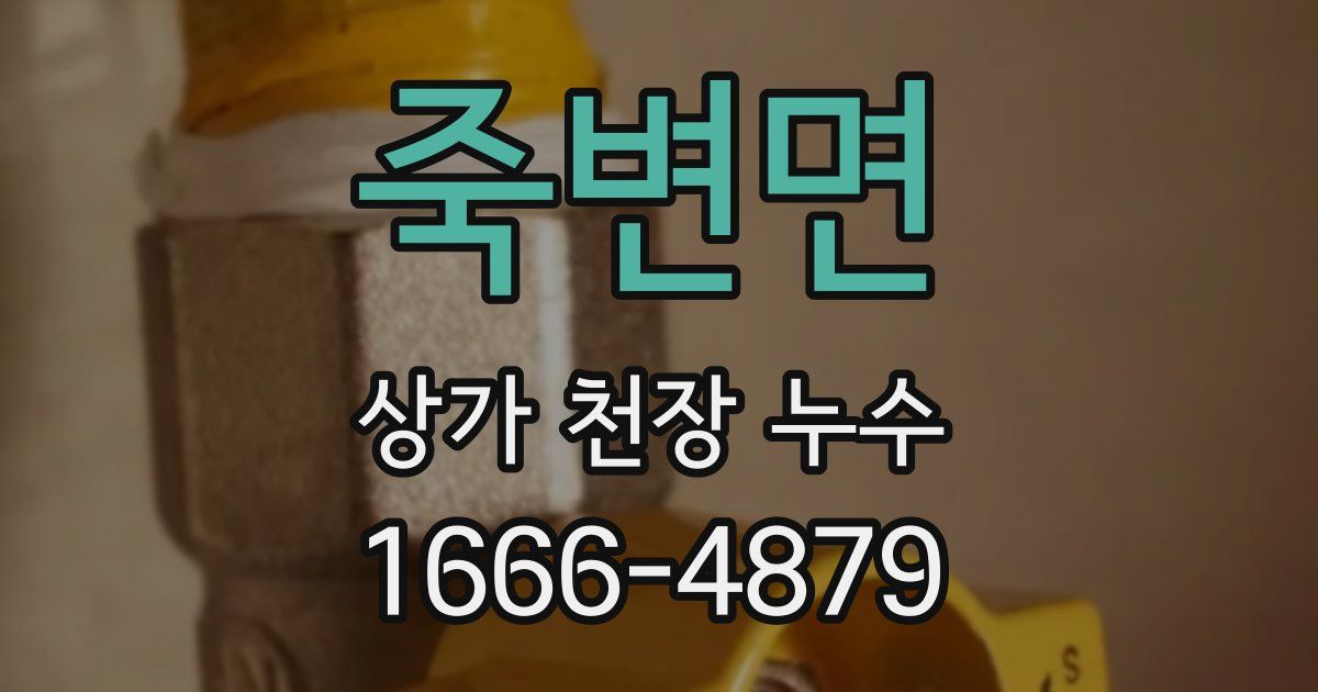 죽변면 상가 천장 누수