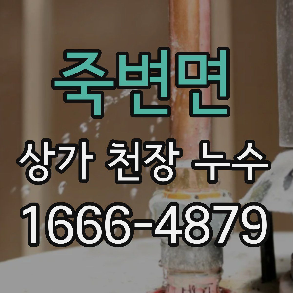 죽변면 상가 천장 누수