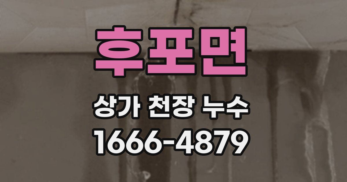 후포면 상가 천장 누수