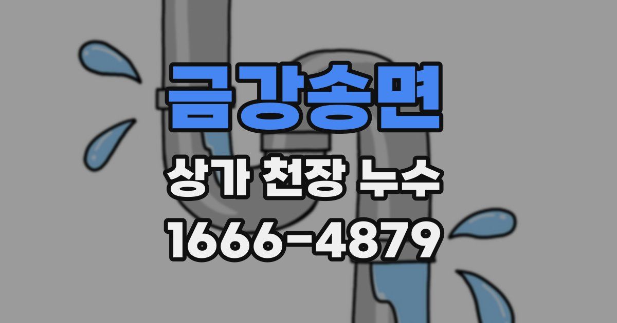 금강송면 상가 천장 누수