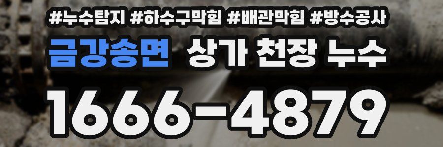 금강송면 상가 천장 누수