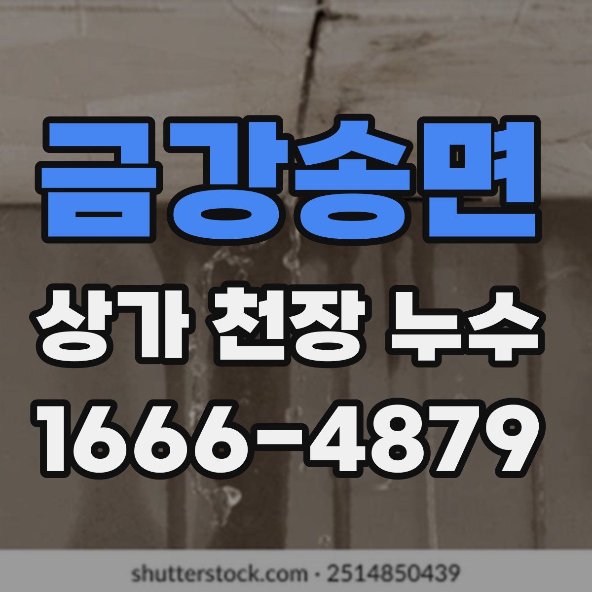 금강송면 상가 천장 누수