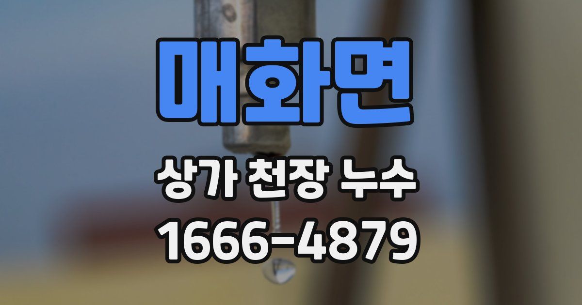 매화면 상가 천장 누수