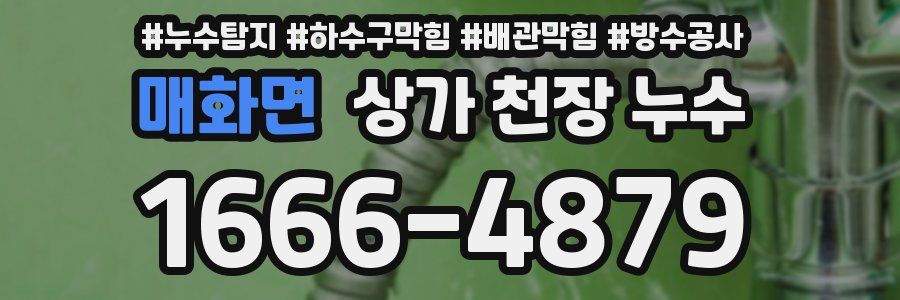 매화면 상가 천장 누수