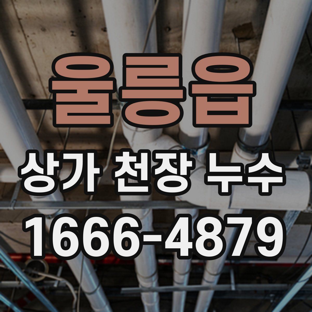 울릉읍 상가 천장 누수