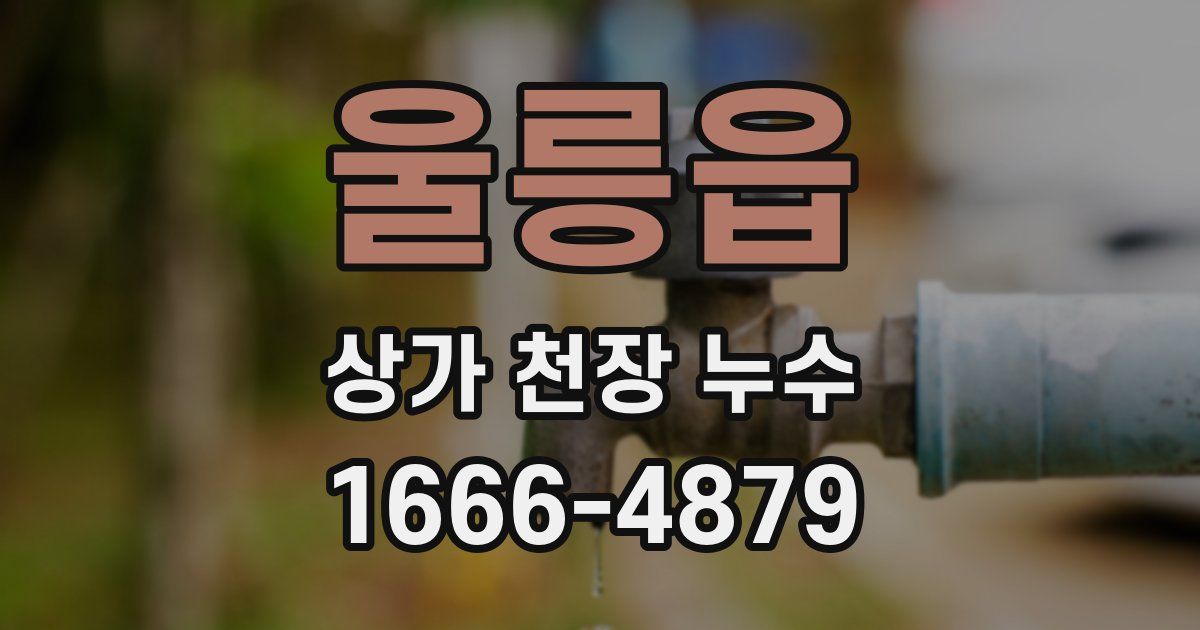 울릉읍 상가 천장 누수