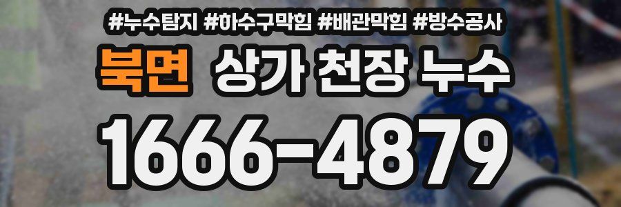 북면 상가 천장 누수