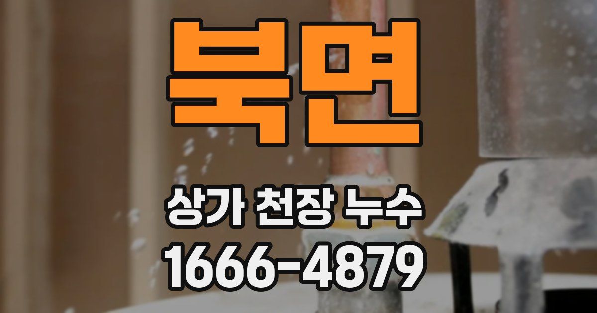 북면 상가 천장 누수