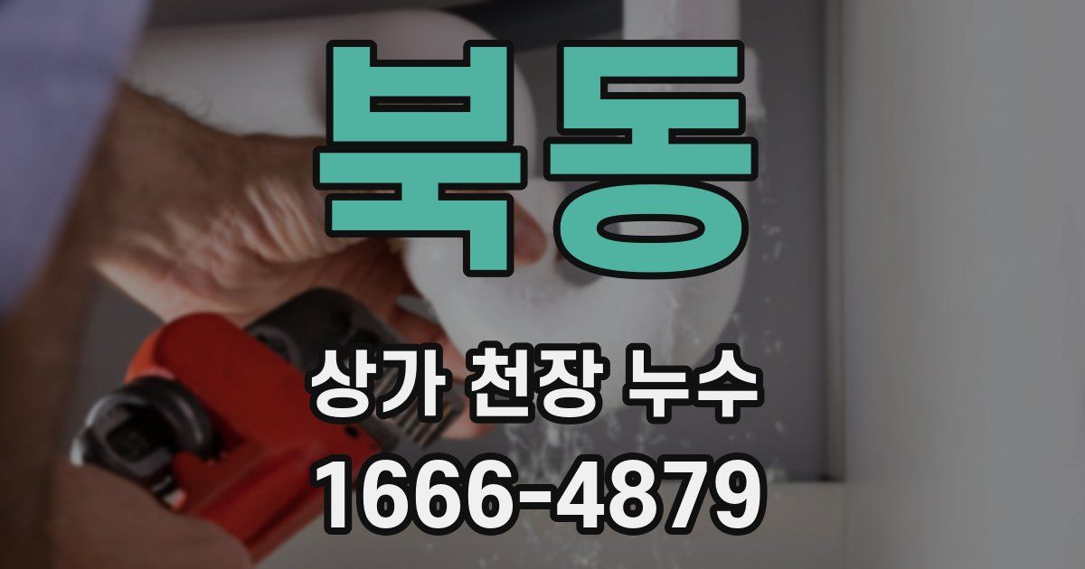 북동 상가 천장 누수