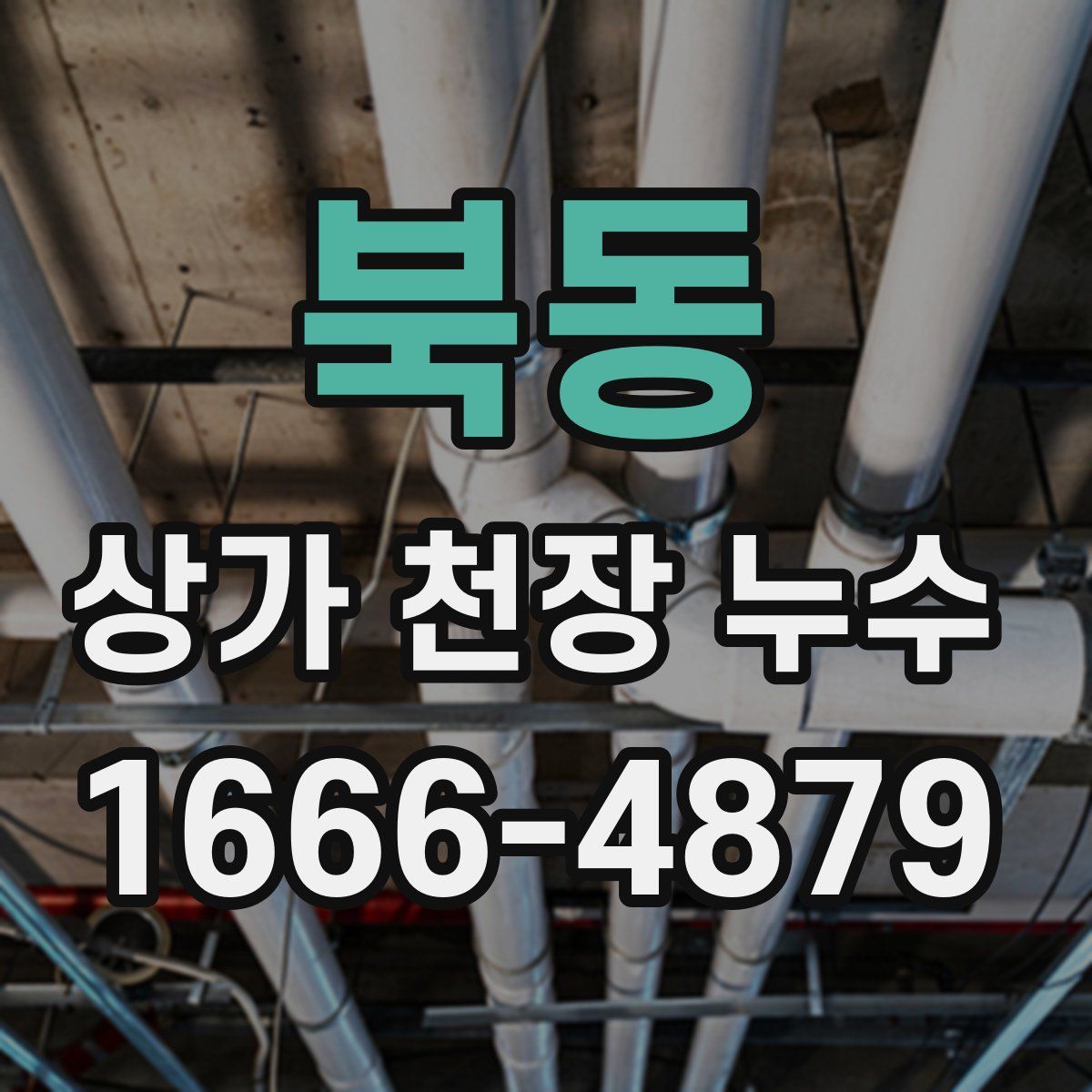 북동 상가 천장 누수