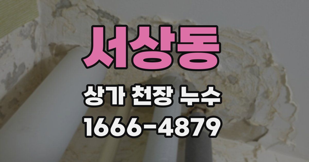 서상동 상가 천장 누수