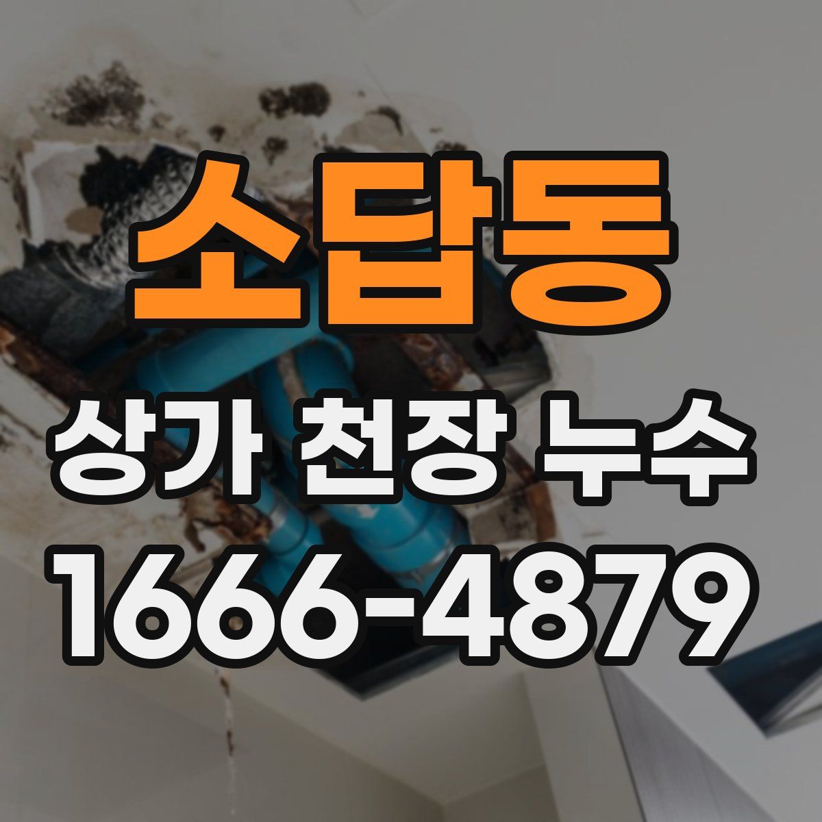 소답동 상가 천장 누수
