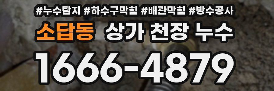 소답동 상가 천장 누수