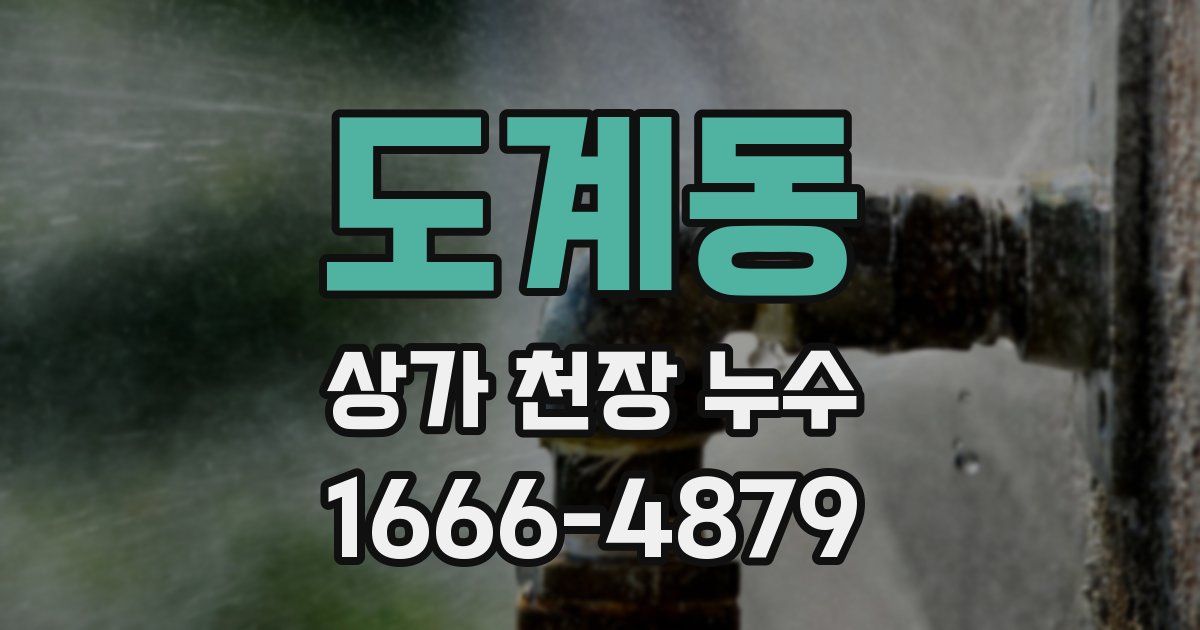 도계동 상가 천장 누수