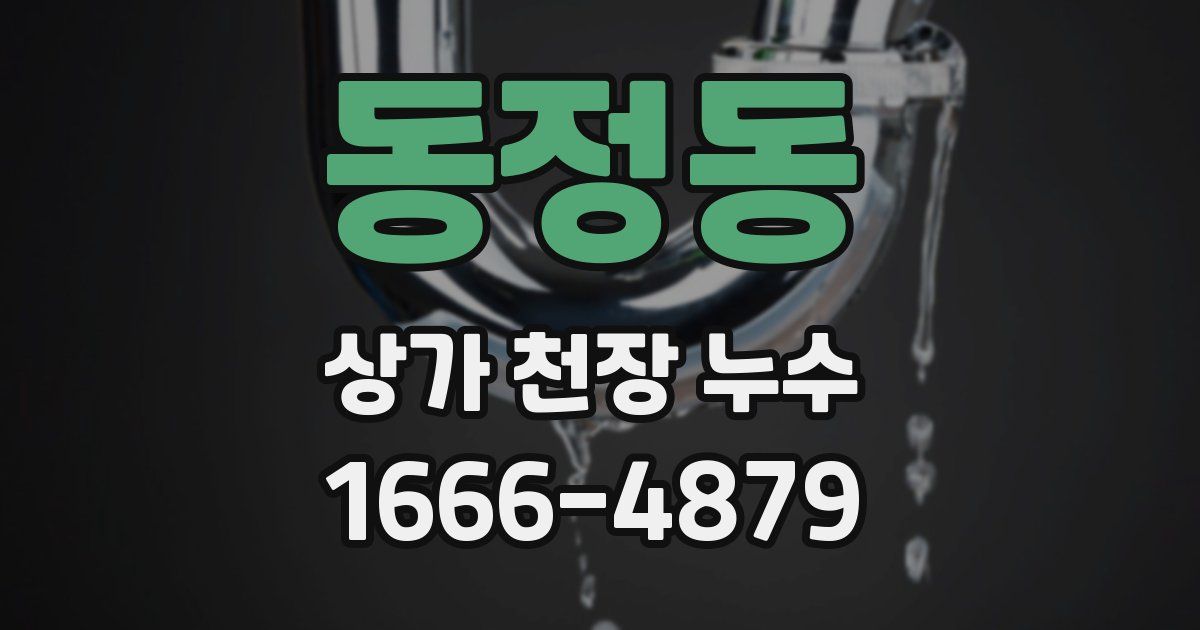 동정동 상가 천장 누수