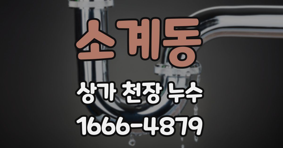 소계동 상가 천장 누수