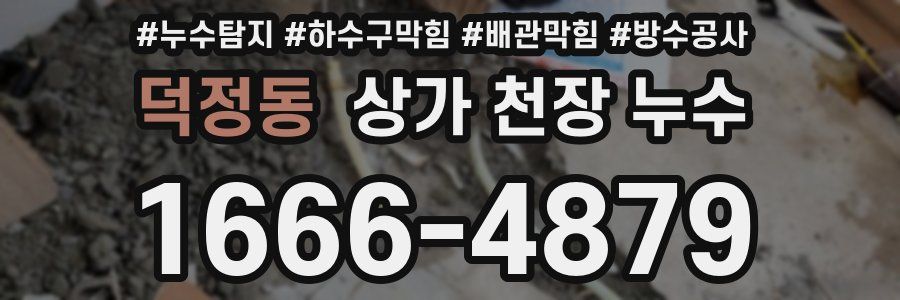 덕정동 상가 천장 누수