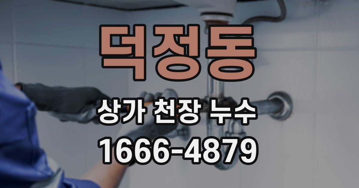 덕정동 상가 천장 누수