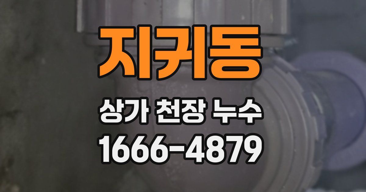 지귀동 상가 천장 누수