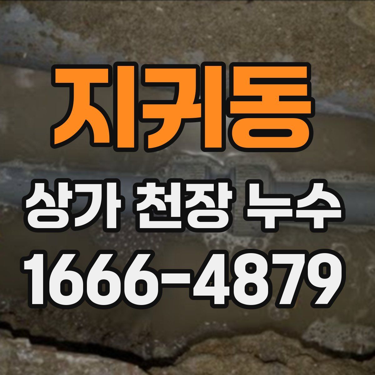 지귀동 상가 천장 누수