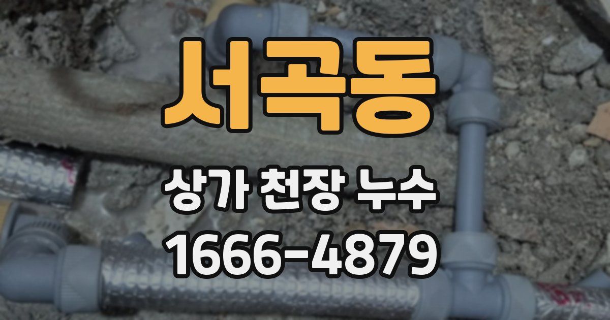 서곡동 상가 천장 누수
