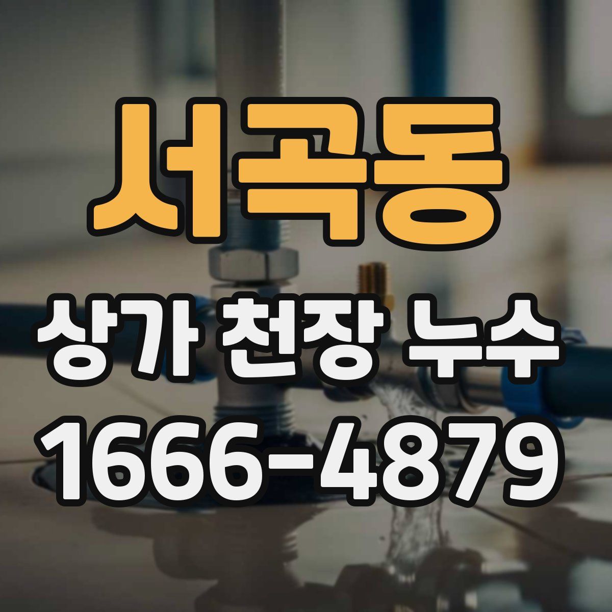 서곡동 상가 천장 누수