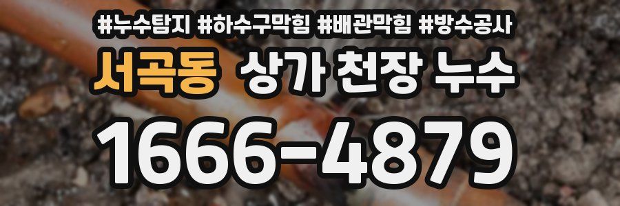 서곡동 상가 천장 누수
