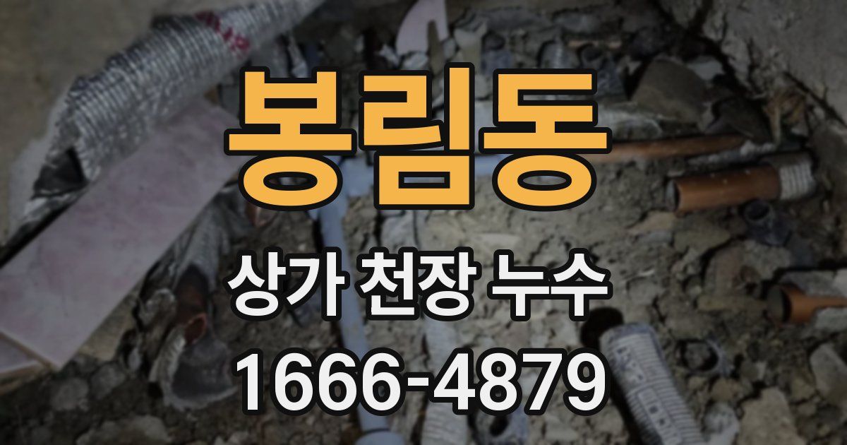 봉림동 상가 천장 누수